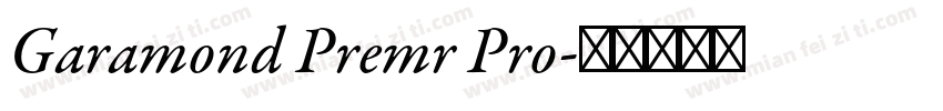 Garamond Premr Pro字体转换